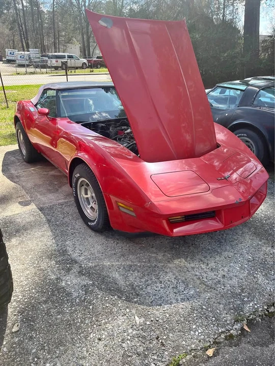 1979 Chevrolet Corvette C3 - Image 1 of 8