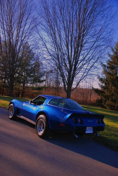1979 Chevrolet Corvette C3 - Image 8 of 13