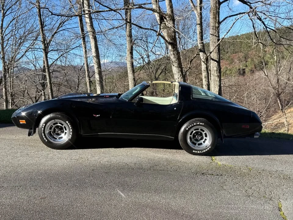 1979 Chevrolet Corvette C3 - Image 10 of 18