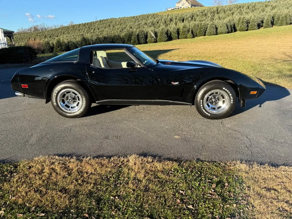 1979 Chevrolet Corvette C3 - Image 7 of 18