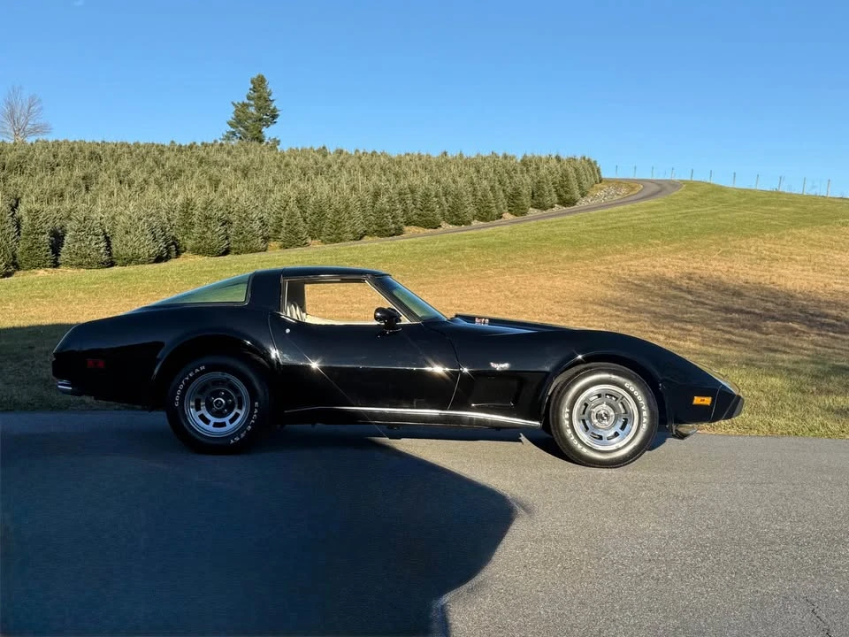 1979 Chevrolet Corvette C3 - Image 8 of 18