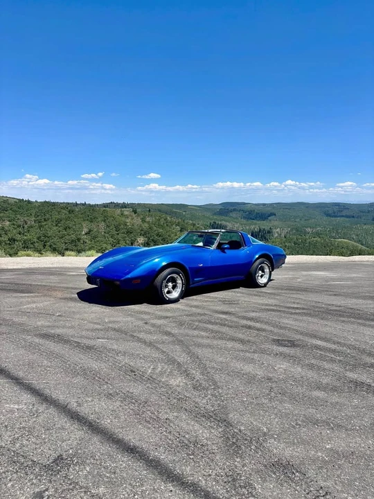 1979 Chevrolet Corvette C3 - Image 1 of 11