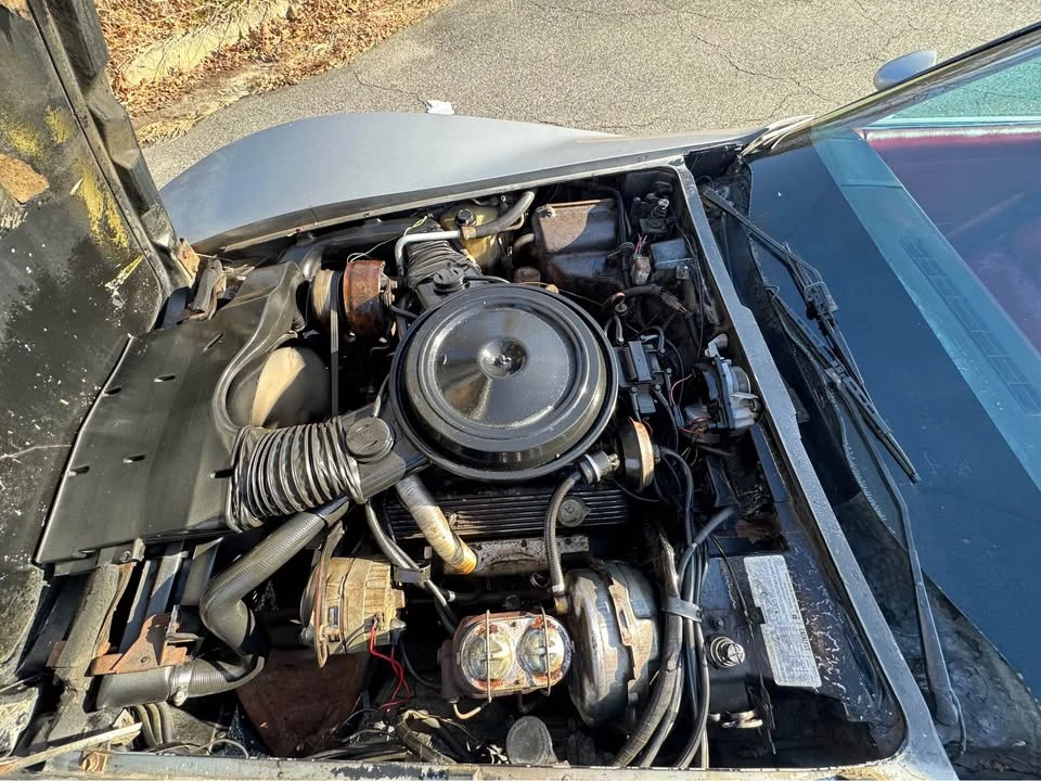 1979 Chevrolet Corvette C3 - Image 20 of 20