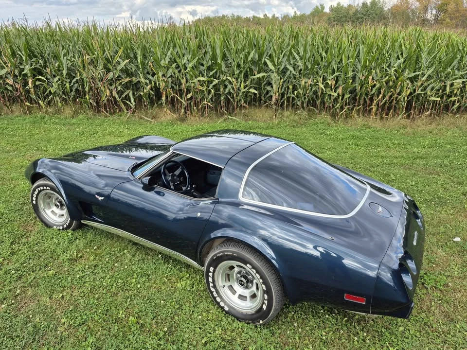 1979 Chevrolet Corvette C3 - Image 5 of 13