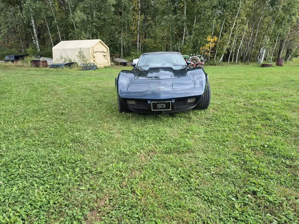 1979 Chevrolet Corvette C3 - Image 3 of 13