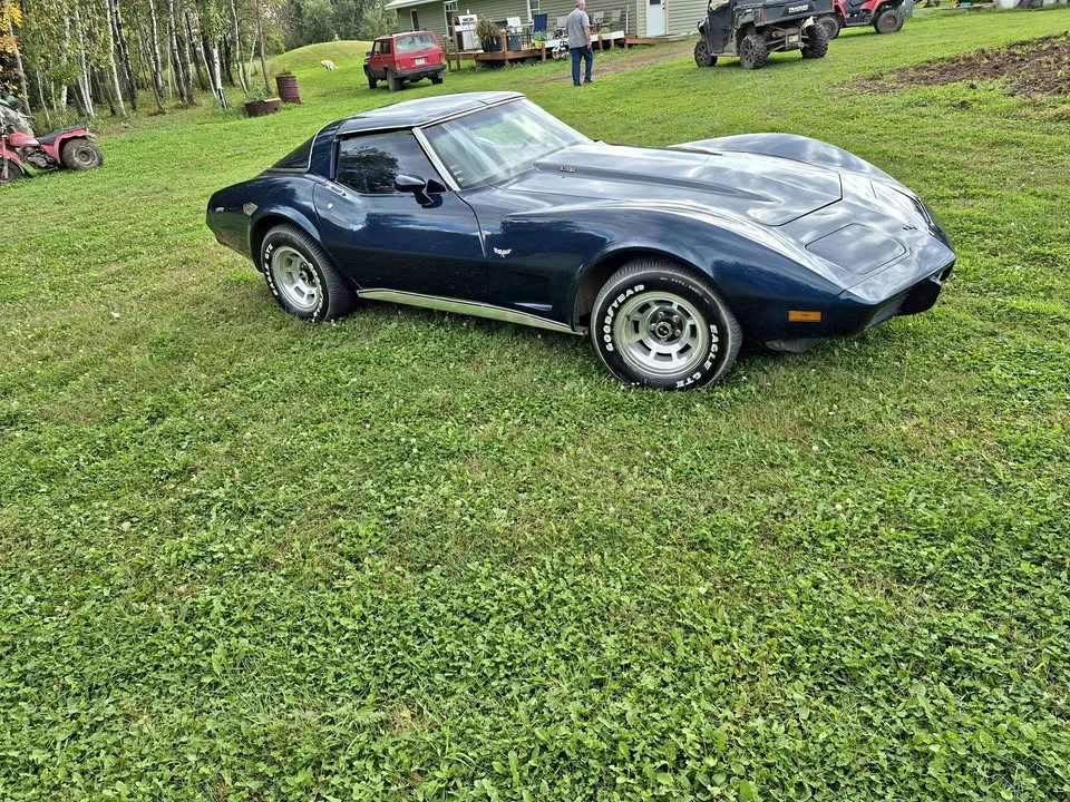 1979 Chevrolet Corvette C3 - Image 1 of 13