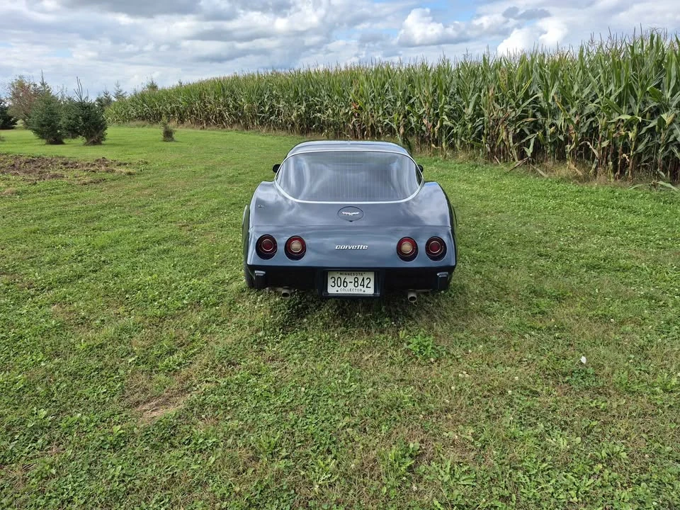 1979 Chevrolet Corvette C3 - Image 4 of 13