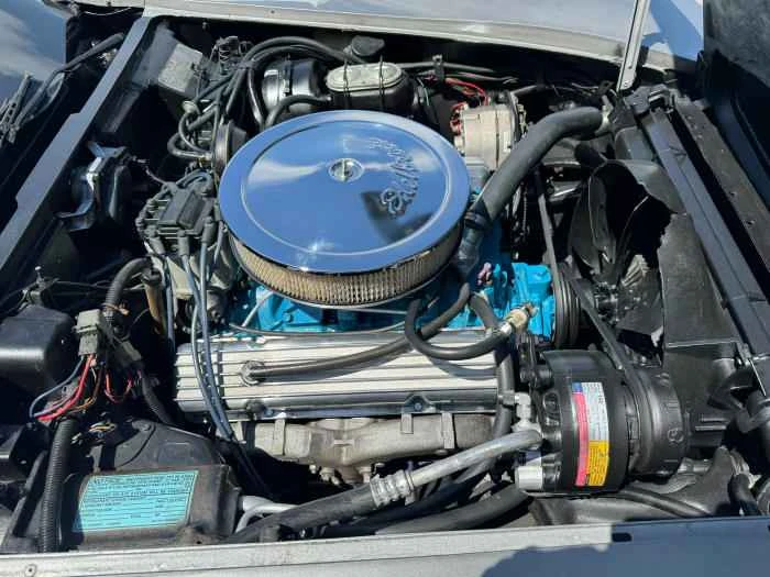 1979 Chevrolet Corvette C3 - Image 6 of 10