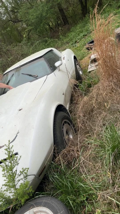 1979 Chevrolet Corvette C3 - Image 3 of 19