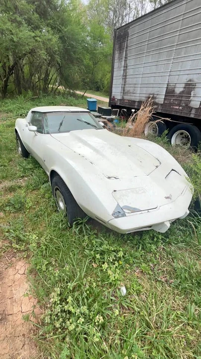 1979 Chevrolet Corvette C3 - Image 1 of 19