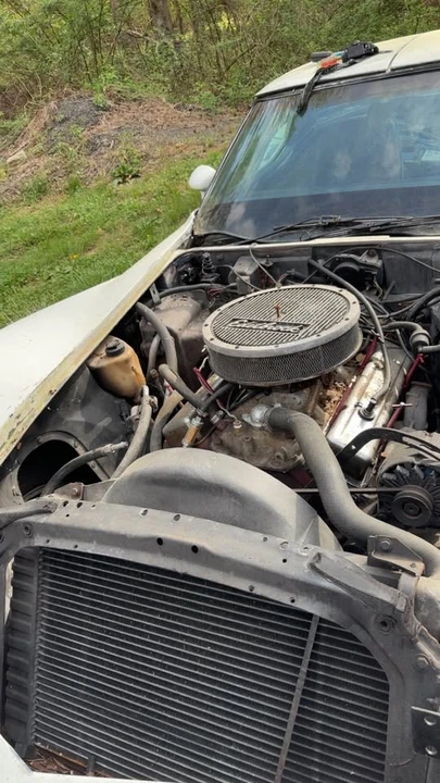 1979 Chevrolet Corvette C3 - Image 7 of 19
