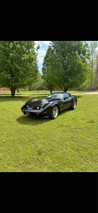 1979 Chevrolet Corvette C3 - Image 1 of 8