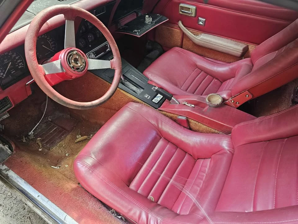1979 Chevrolet Corvette C3 - Image 10 of 12