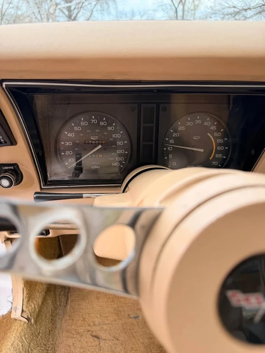 1979 Chevrolet Corvette C3 - Image 8 of 16