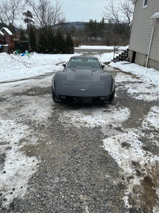 1979 Chevrolet Corvette C3 - Image 2 of 10