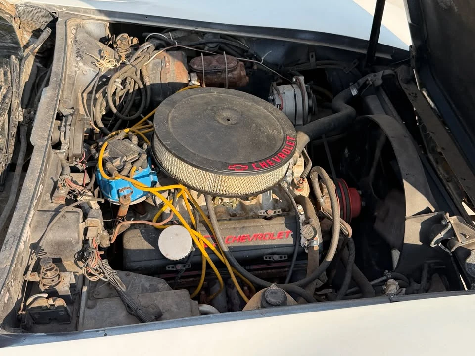 1979 Chevrolet Corvette C3 - Image 19 of 20