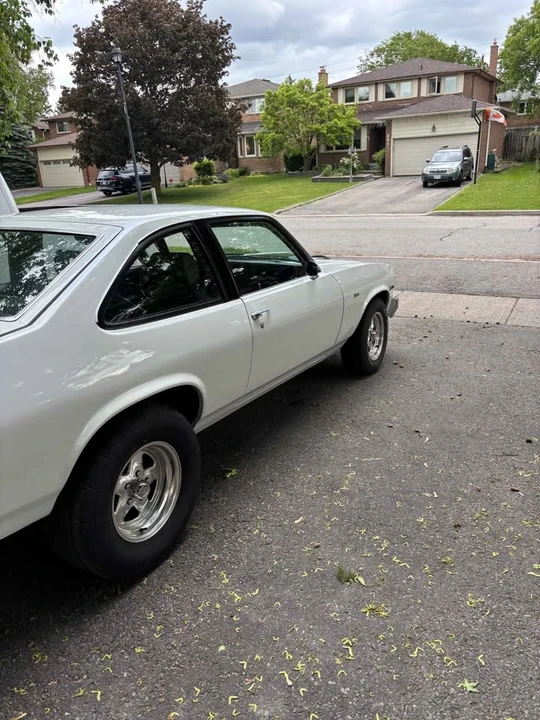 1979 Chevrolet Nova 4th Gen - Image 4 of 8