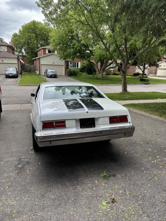 1979 Chevrolet Nova 4th Gen - Image 2 of 8