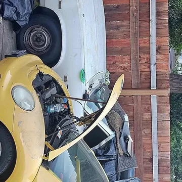 1979 Chevrolet Nova