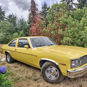 1979 Chevrolet Nova