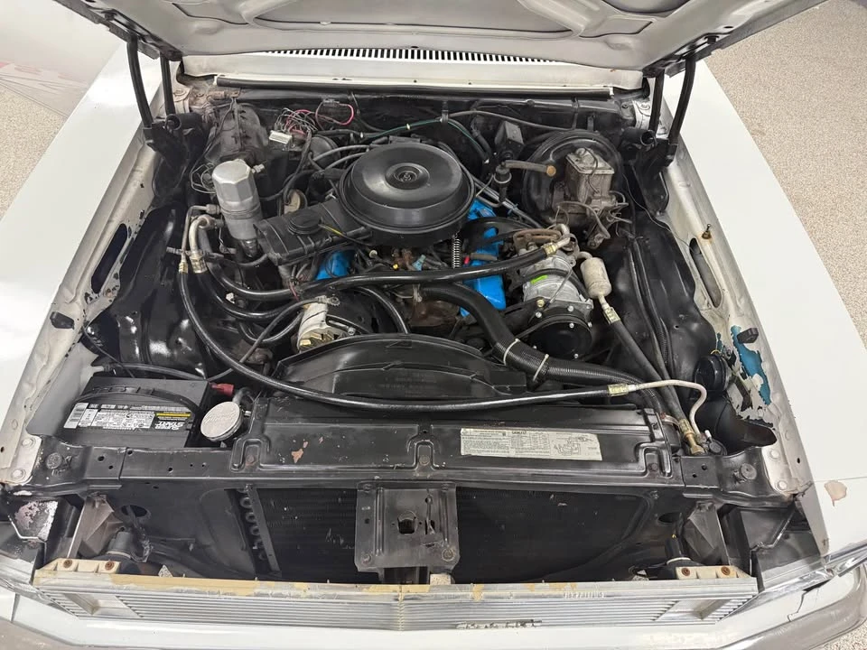 1979 Chevrolet Nova 4th Gen - Image 15 of 19