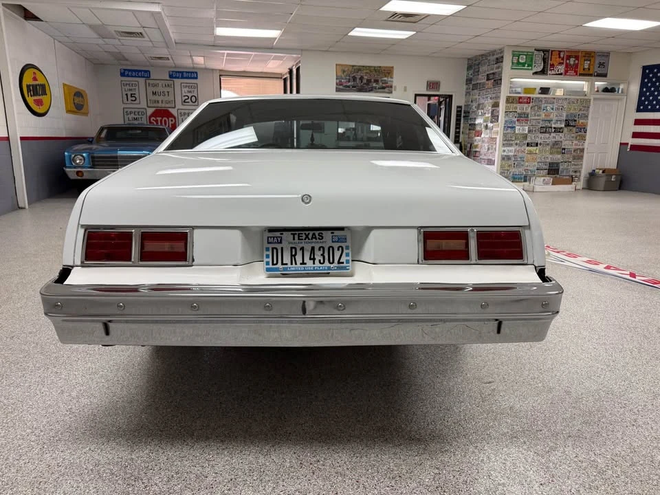 1979 Chevrolet Nova 4th Gen - Image 19 of 19