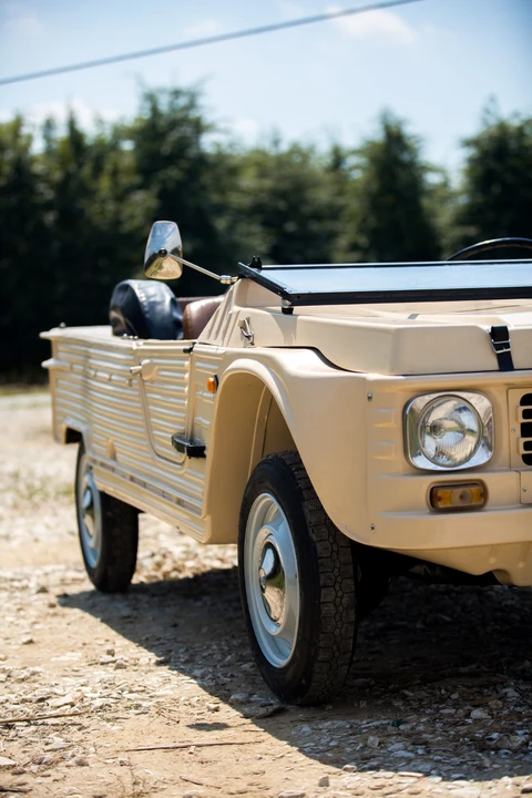 1979 Citroen Mehari - Image 9 of 31