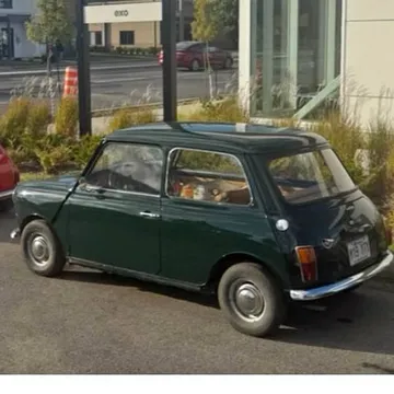 1979 Mini Classic Mini