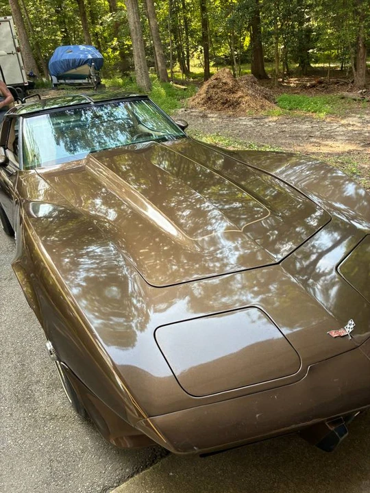 1979 Chevrolet Corvette C3 - Image 19 of 19