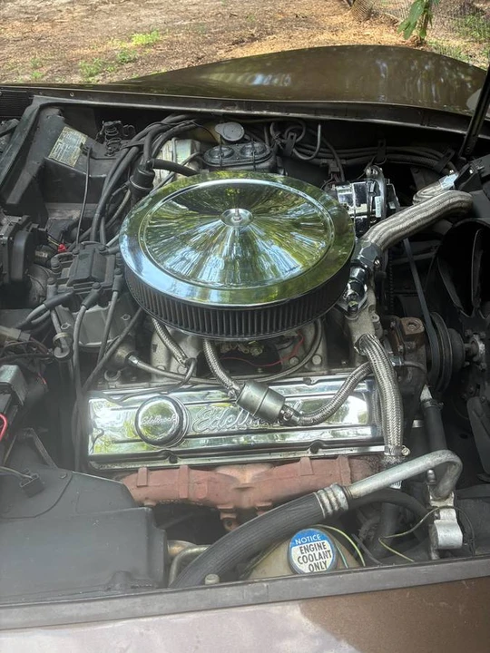 1979 Chevrolet Corvette C3 - Image 13 of 19