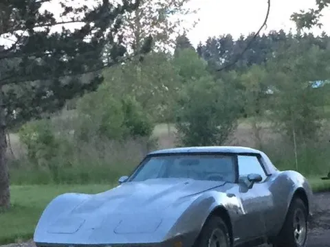 1979 Chevrolet Corvette