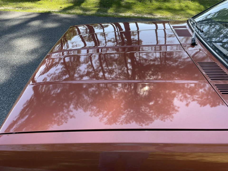 1979 Nissan N10/N11 Pulsar - Image 12 of 31