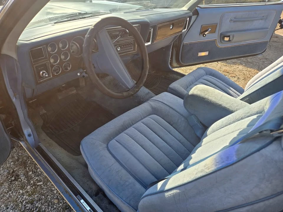 1979 Dodge Diplomat - Image 10 of 20