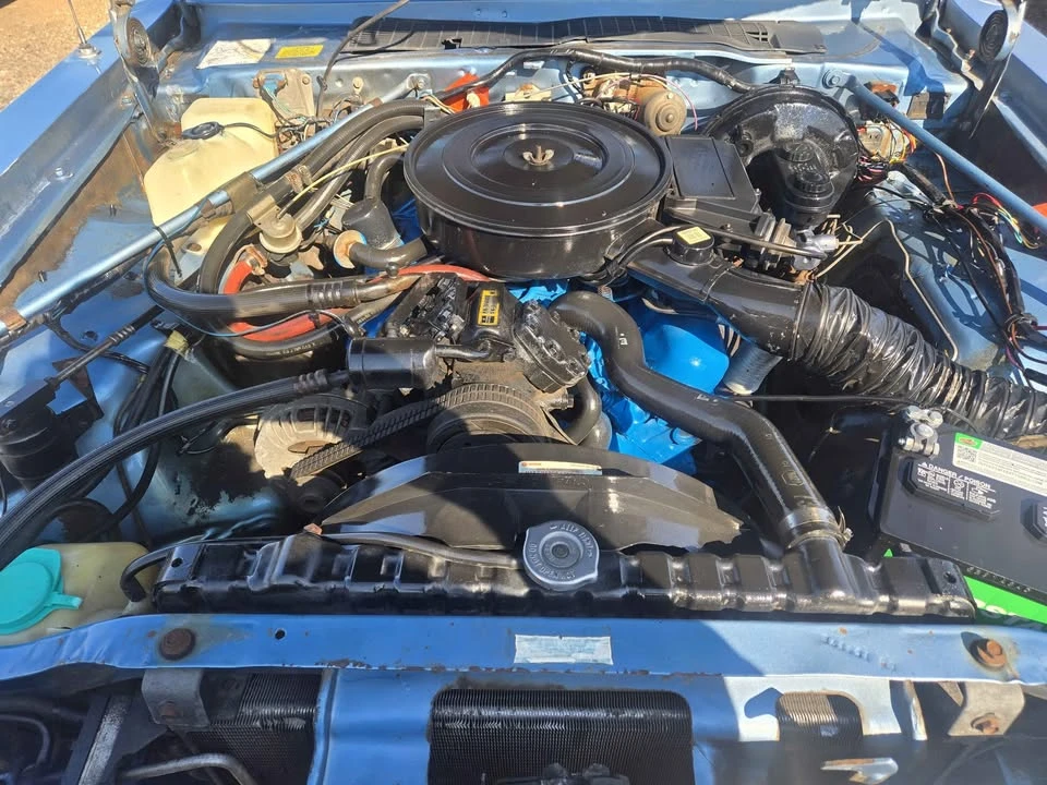 1979 Dodge Diplomat - Image 17 of 20