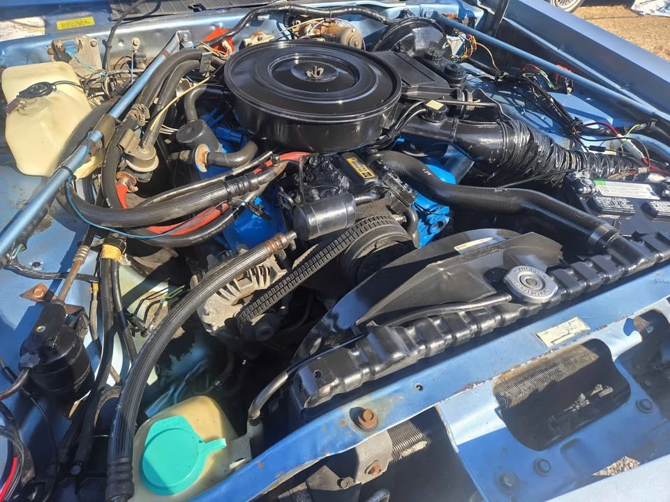1979 Dodge Diplomat - Image 18 of 20