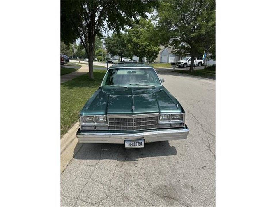1979 Dodge Diplomat - Image 3 of 19