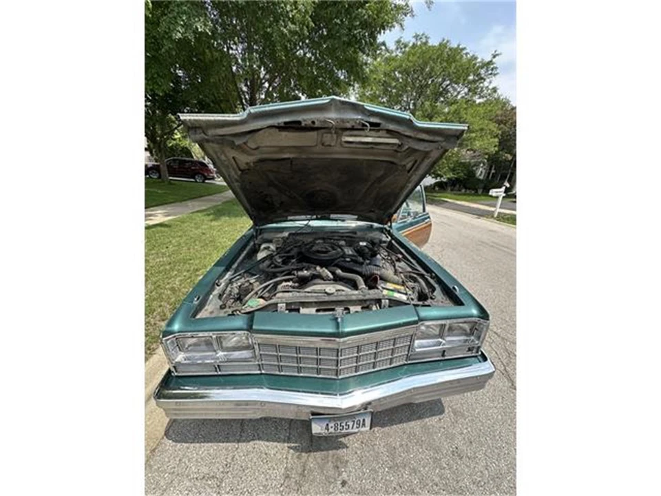 1979 Dodge Diplomat - Image 16 of 19