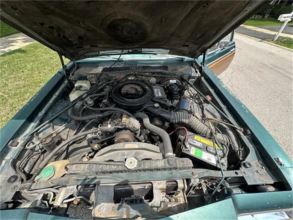 1979 Dodge Diplomat - Image 17 of 19