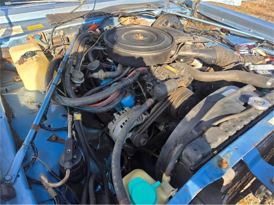 1979 Dodge Diplomat - Image 2 of 19