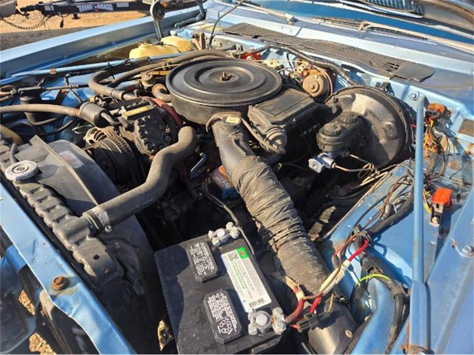 1979 Dodge Diplomat - Image 3 of 19