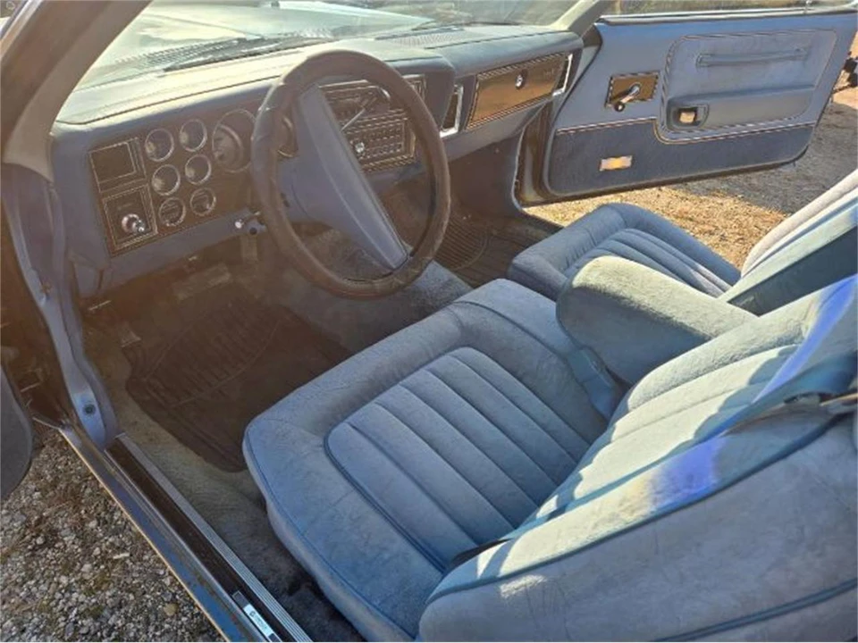 1979 Dodge Diplomat - Image 10 of 19