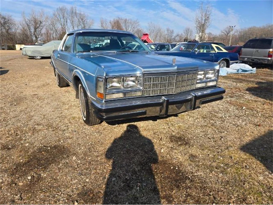 1979 Dodge Diplomat - Image 12 of 19