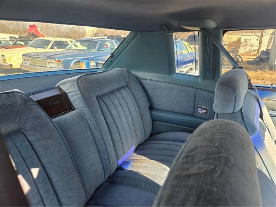 1979 Dodge Diplomat - Image 6 of 19