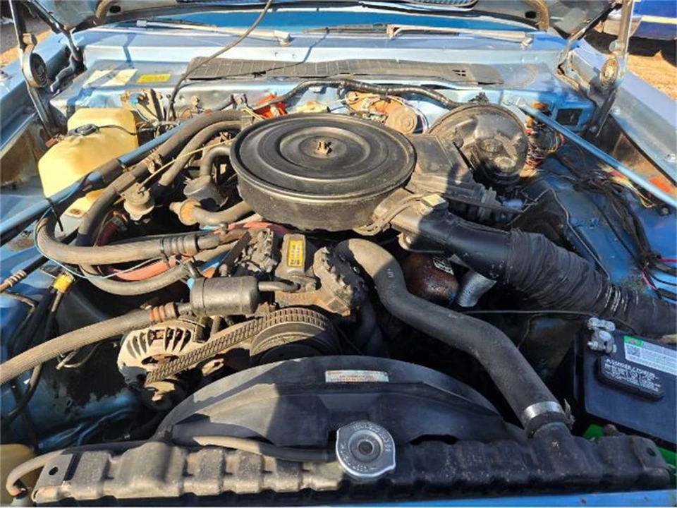 1979 Dodge Diplomat - Image 4 of 19