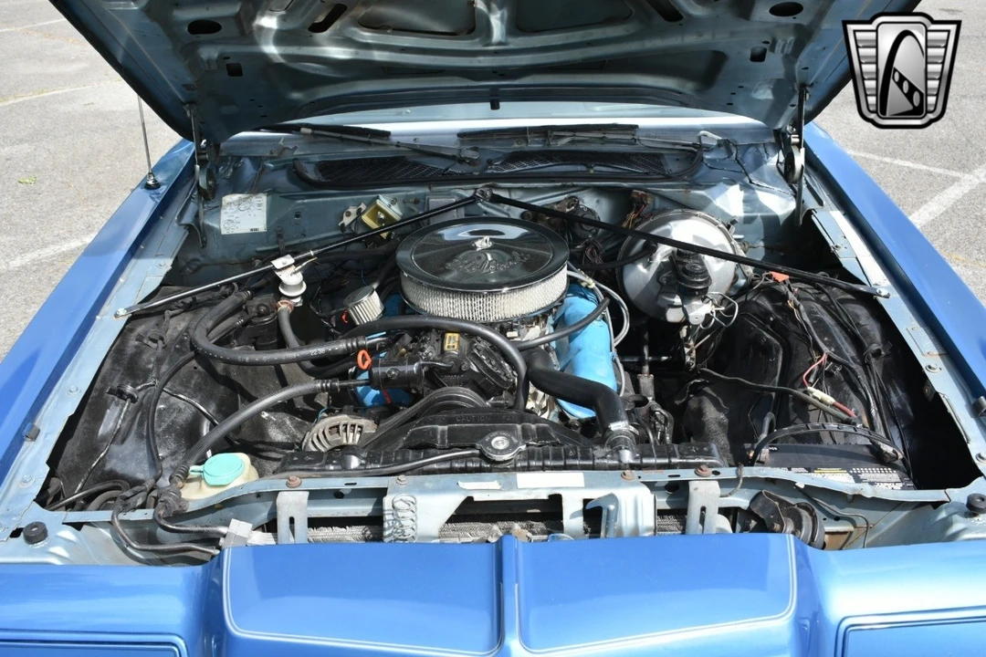 1979 Dodge Magnum 1st Gen - Image 10 of 12
