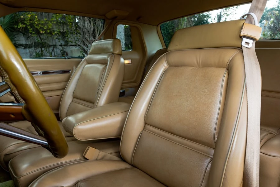 1979 Dodge Magnum 1st Gen - Image 4 of 27