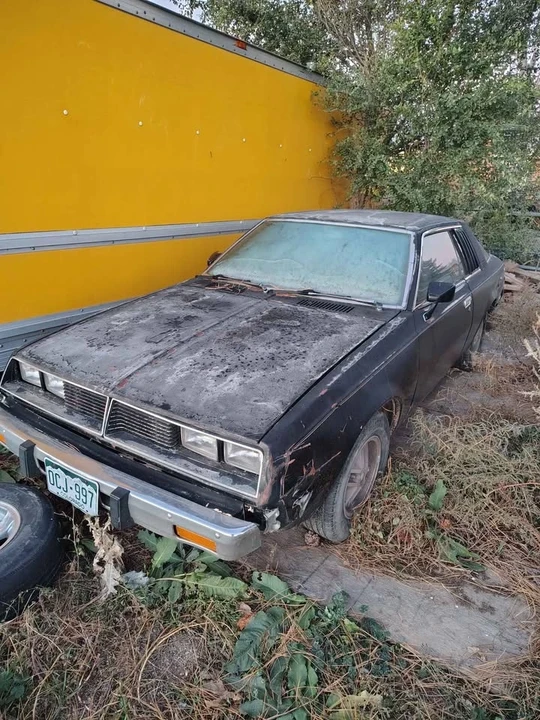 1979 Dodge Challenger 2nd Gen - Image 4 of 4