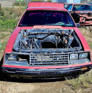 1979 Ford Mustang Coupe