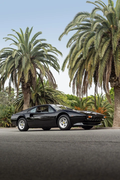 1979 Ferrari 308 GTB - Image 19 of 31