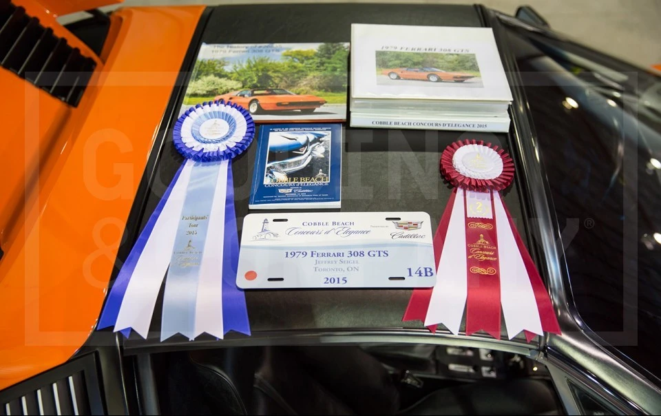 1979 Ferrari 308 GTS - Image 13 of 16